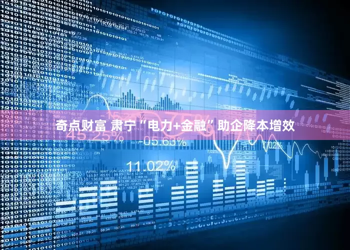 奇点财富 肃宁“电力+金融”助企降本增效