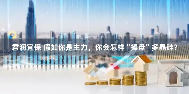 君润宜保 假如你是主力，你会怎样“操盘”多晶硅？